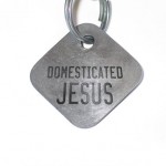 Domesticated Jesus
